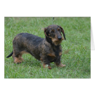 Producto del personalizar