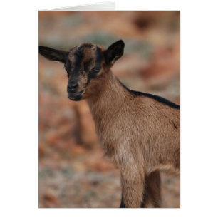 Producto del personalizar