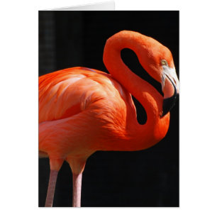 Producto del personalizar