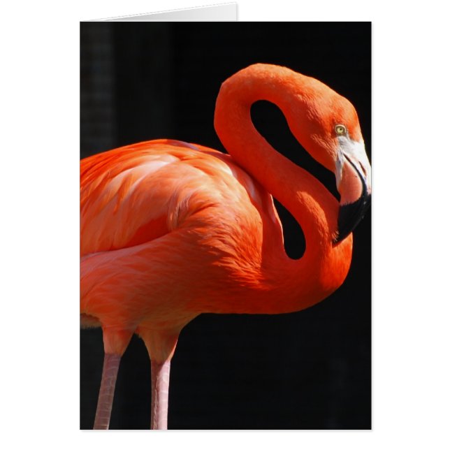 Producto del personalizar (Frente)