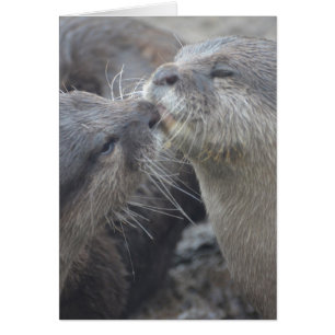 Producto del personalizar