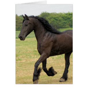 Producto del personalizar