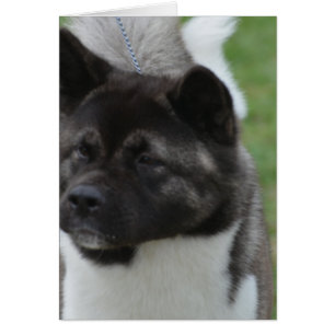 Producto del personalizar