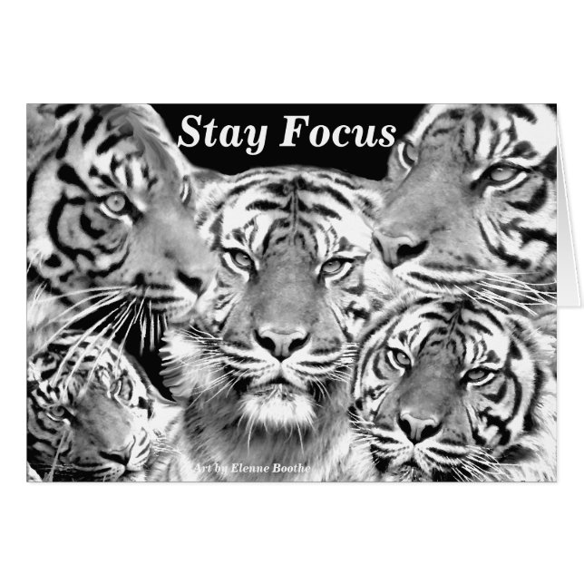 Producto Focus_card (Anverso (Horizontal))