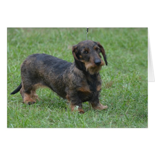 Producto personalizar (Anverso (Horizontal))