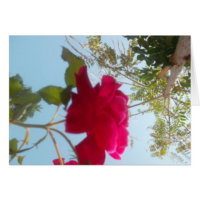 Producto personalizar (Anverso (Horizontal))