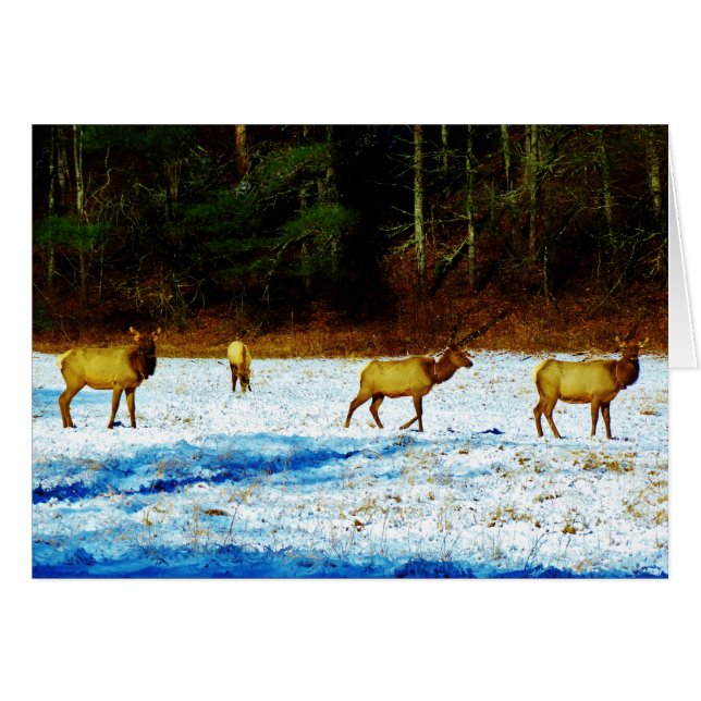 Producto personalizar (Anverso (Horizontal))