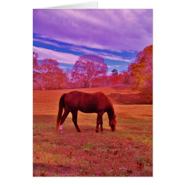 Producto personalizar (Frente)