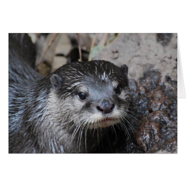 Producto personalizar (Anverso (Horizontal))