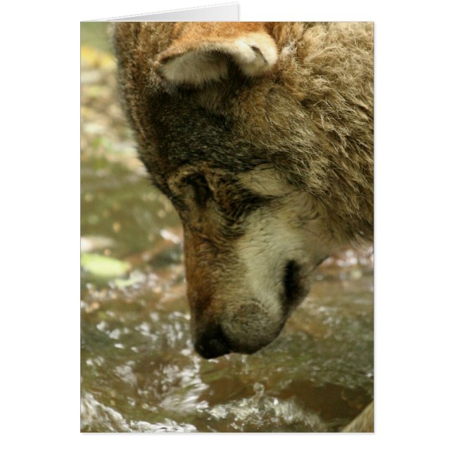 Producto personalizar (Frente)