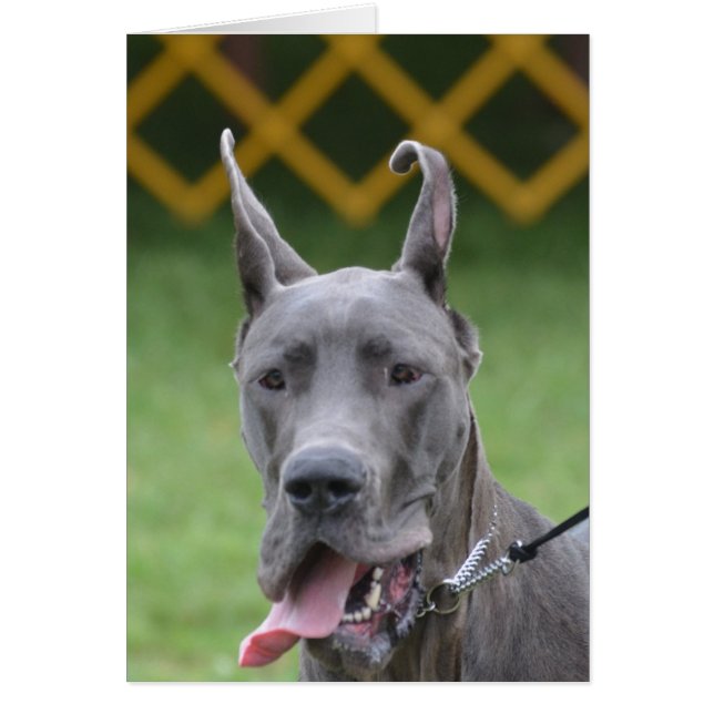 Producto personalizar (Frente)