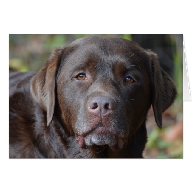 Producto personalizar (Anverso (Horizontal))