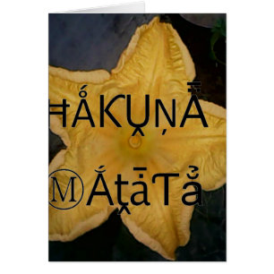 Producto personalizar