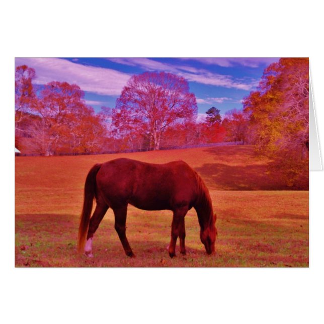 Producto personalizar (Anverso (Horizontal))