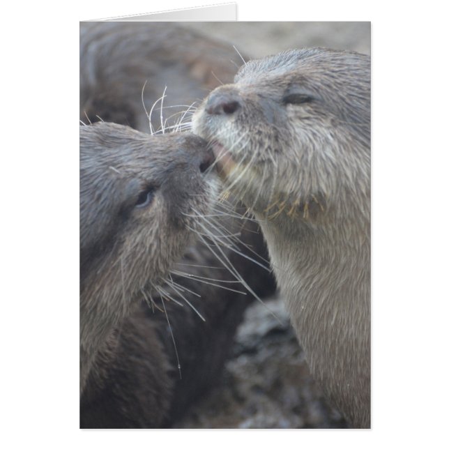 Producto personalizar (Frente)