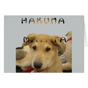 Producto personalizar