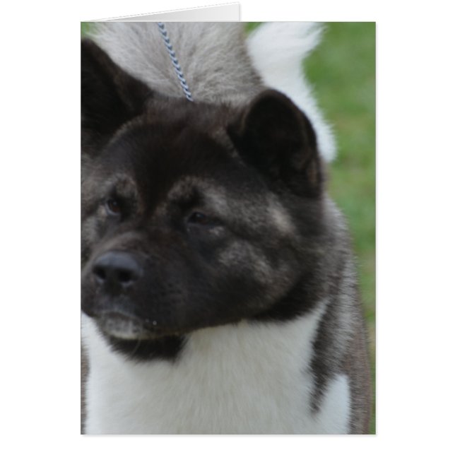 Producto personalizar (Frente)