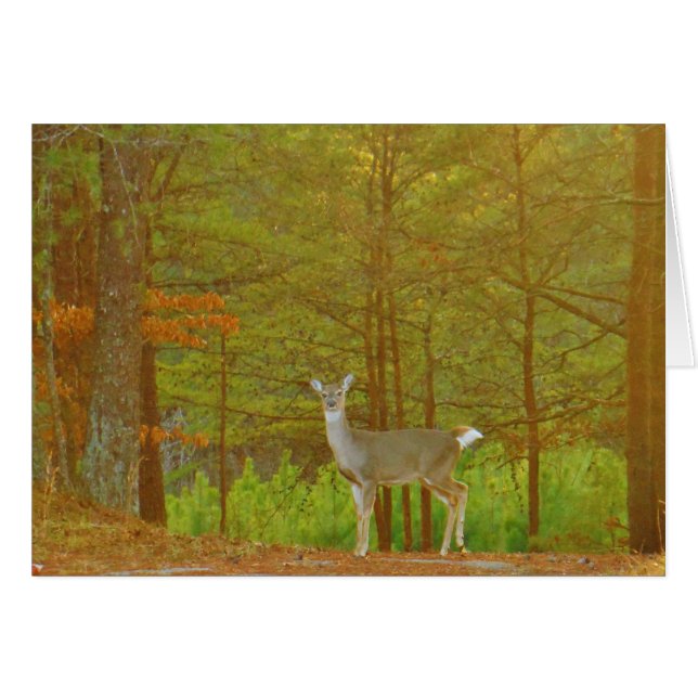 Producto personalizar (Anverso (Horizontal))