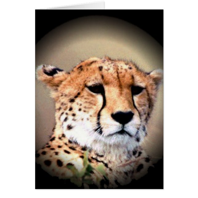 Producto personalizar (Frente)