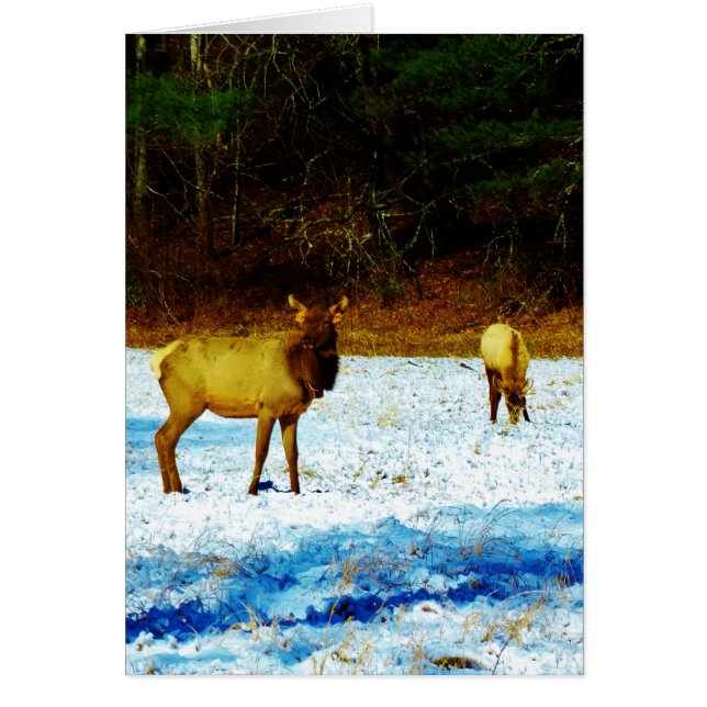 Producto personalizar (Frente)