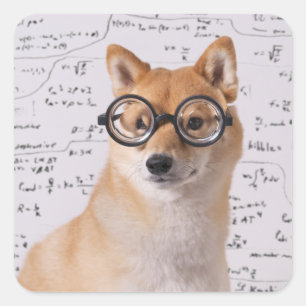 Profesor Barkley Square Pegatina (Glossy)