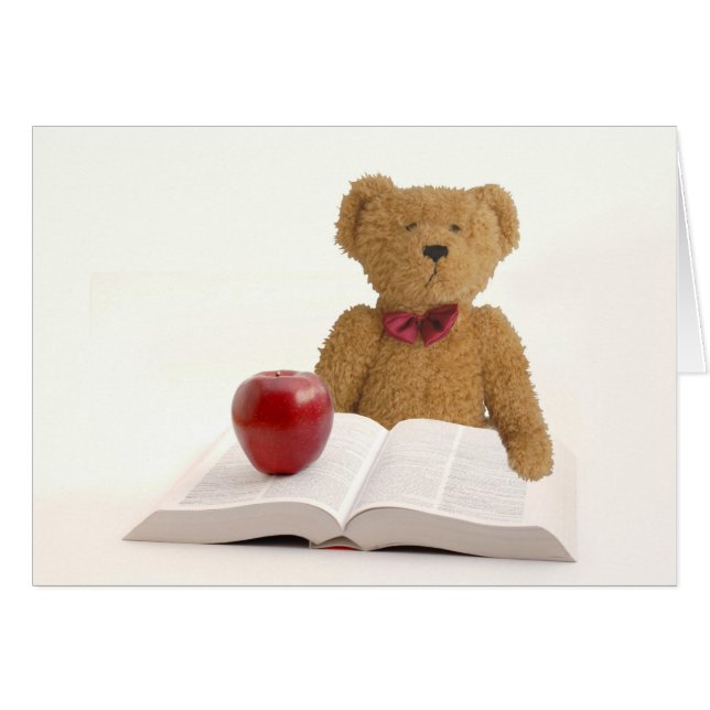 Profesor de osos de peluche (Anverso (Horizontal))