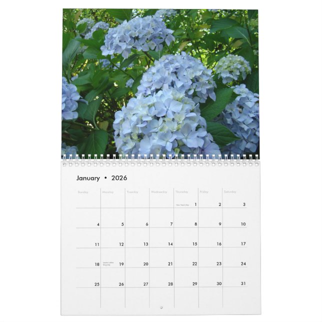 Profesor del calendario de los helechos de los (Jan 2026)