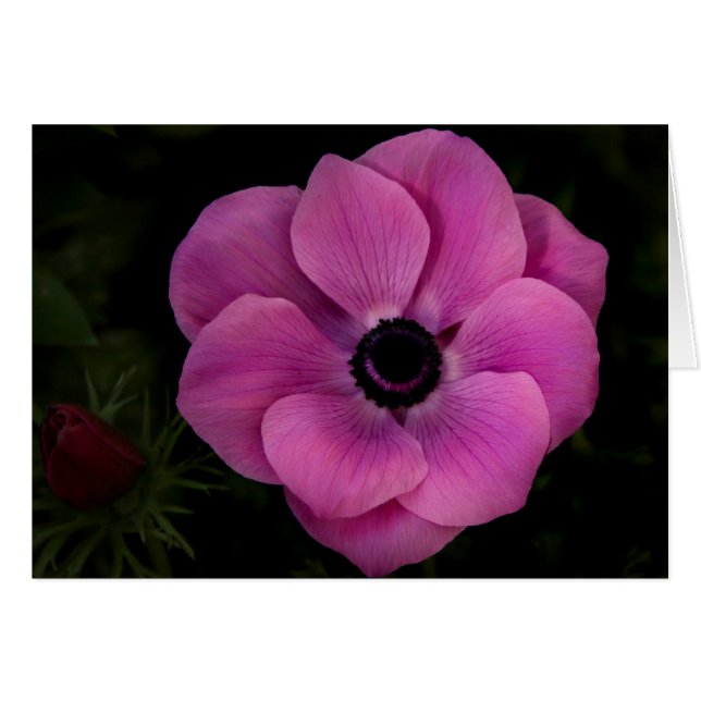 Profundo (Anverso (Horizontal))