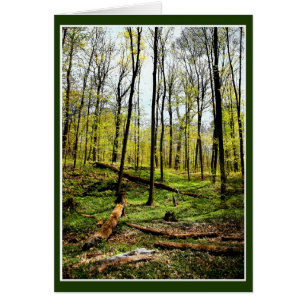 Profundo En Los Bosques