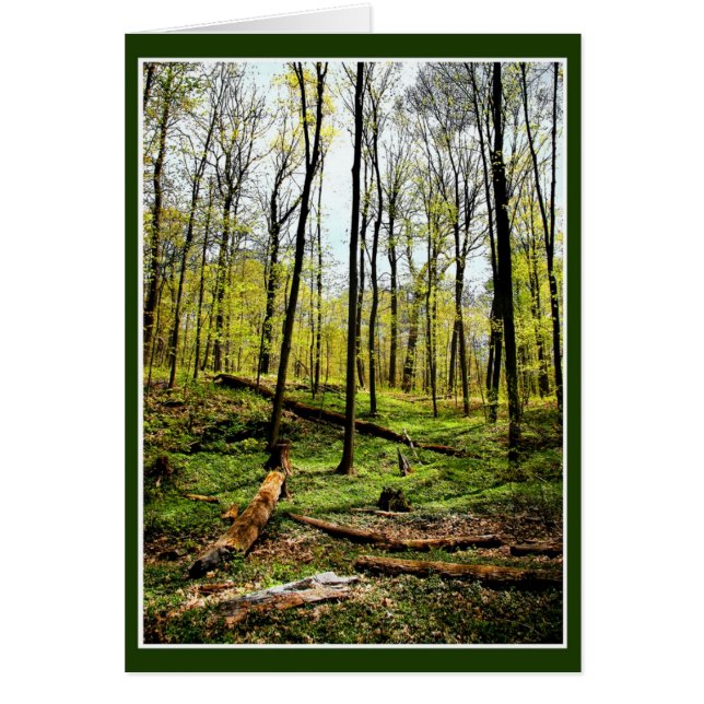 Profundo En Los Bosques (Frente)