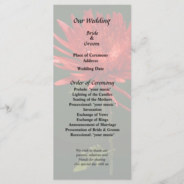 Programa Araña Roja Mamá (Anverso)