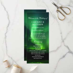 Programa Aurora Borealis Boda