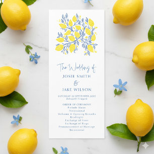 Programa Boda brillante botánico azul y amarillo
