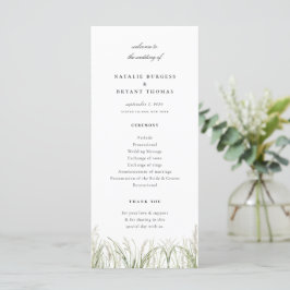 Programa Boda de Grass Rustic Pampas