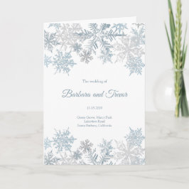 Programa Boda de Invierno de los navidades Silver Blue Snow