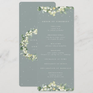 Programa Boda de Invierno Seafoam Green Snowberry+Eucalyptu
