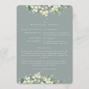 Programa Boda de Invierno Seafoam Green Snowberry+Eucalyptu