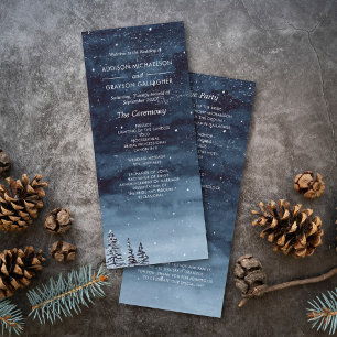 Programa Boda de la noche de invierno de Navy Blue Snowy Wo