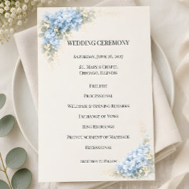 Programa Boda de Lujo con Hortensias Azules Polvorientas
