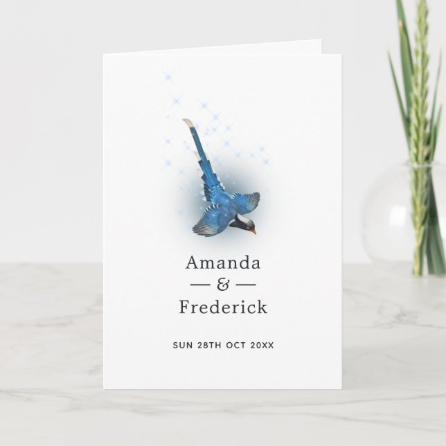 Programa Boda de Pájaro de Fantasía Brillante (Anverso)