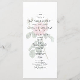 Programa Boda de Rosa único tradicional