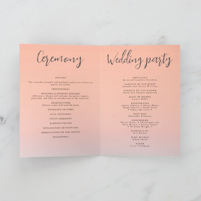 Programa Boda junto al mar bajo la puesta de sol del cielo  (Interior)