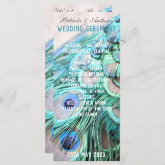Programa Boho Moda Peacock Back Feathers Wedding