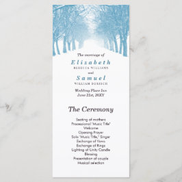 Programa Camino de la Avenida de los Árboles de Invierno de