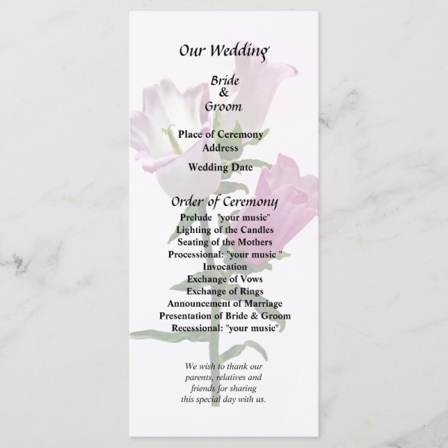 Programa Campanas de Canterbury rosadas (Anverso)