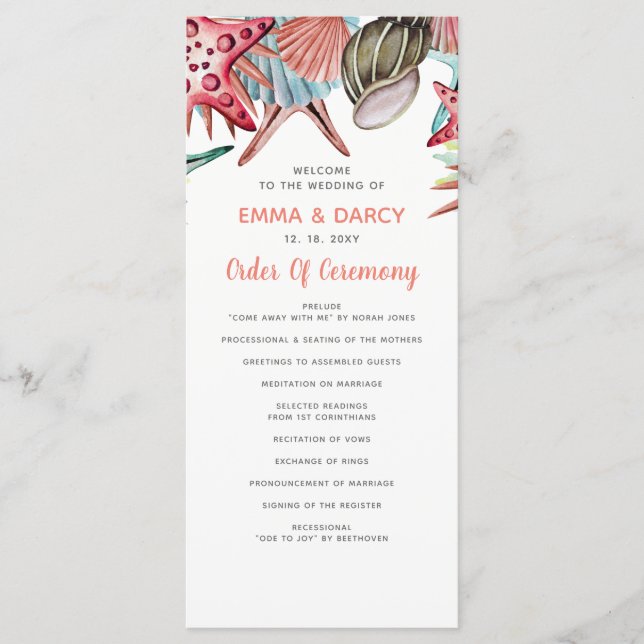 Programa Cascada acuática rústica Seashells Starfish Beach  (Anverso)