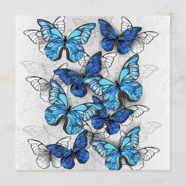 Programa Composición de las mariposas blancas y azules (Anverso)