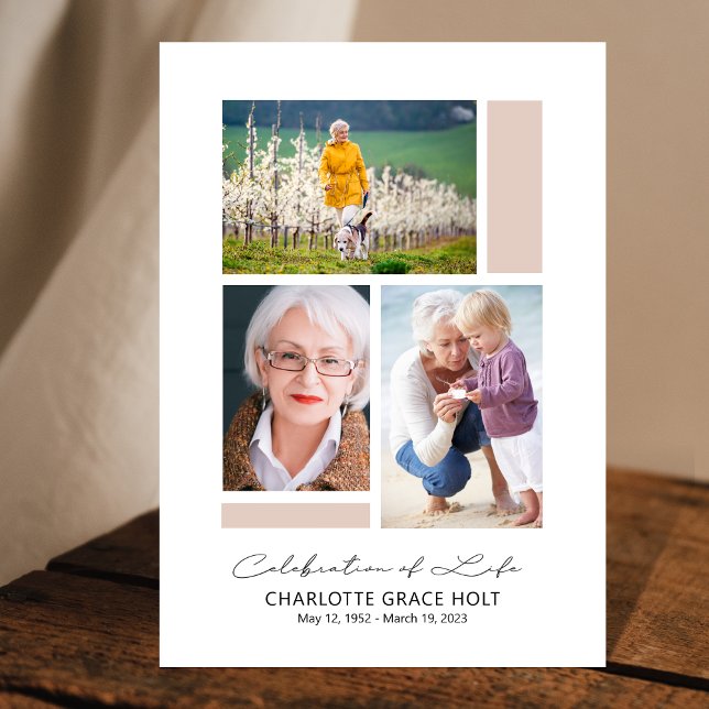 Programa conmemorativo de la galería moderna (Subido por el creador)