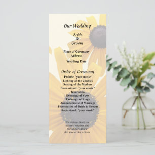 Programa Corazón de Susans Oídos Negros