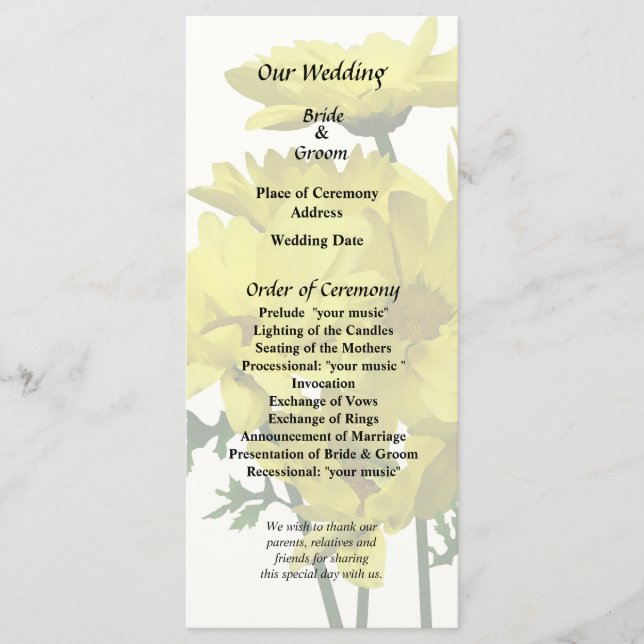 Programa Daisies amarillos (Anverso)